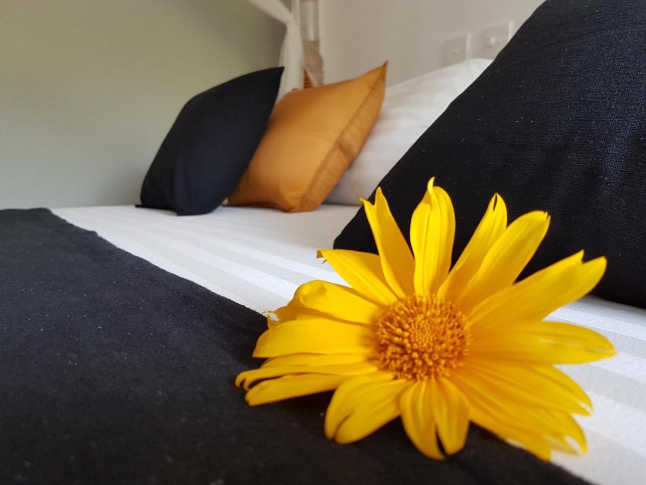 White Villa Beach Resort Мірісса Екстер'єр фото